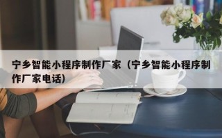 岑溪宁乡智能小程序制作厂家（宁乡智能小程序制作厂家电话）