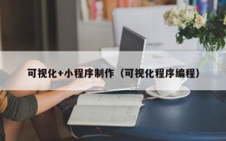 岑溪可视化+小程序制作（可视化程序编程）